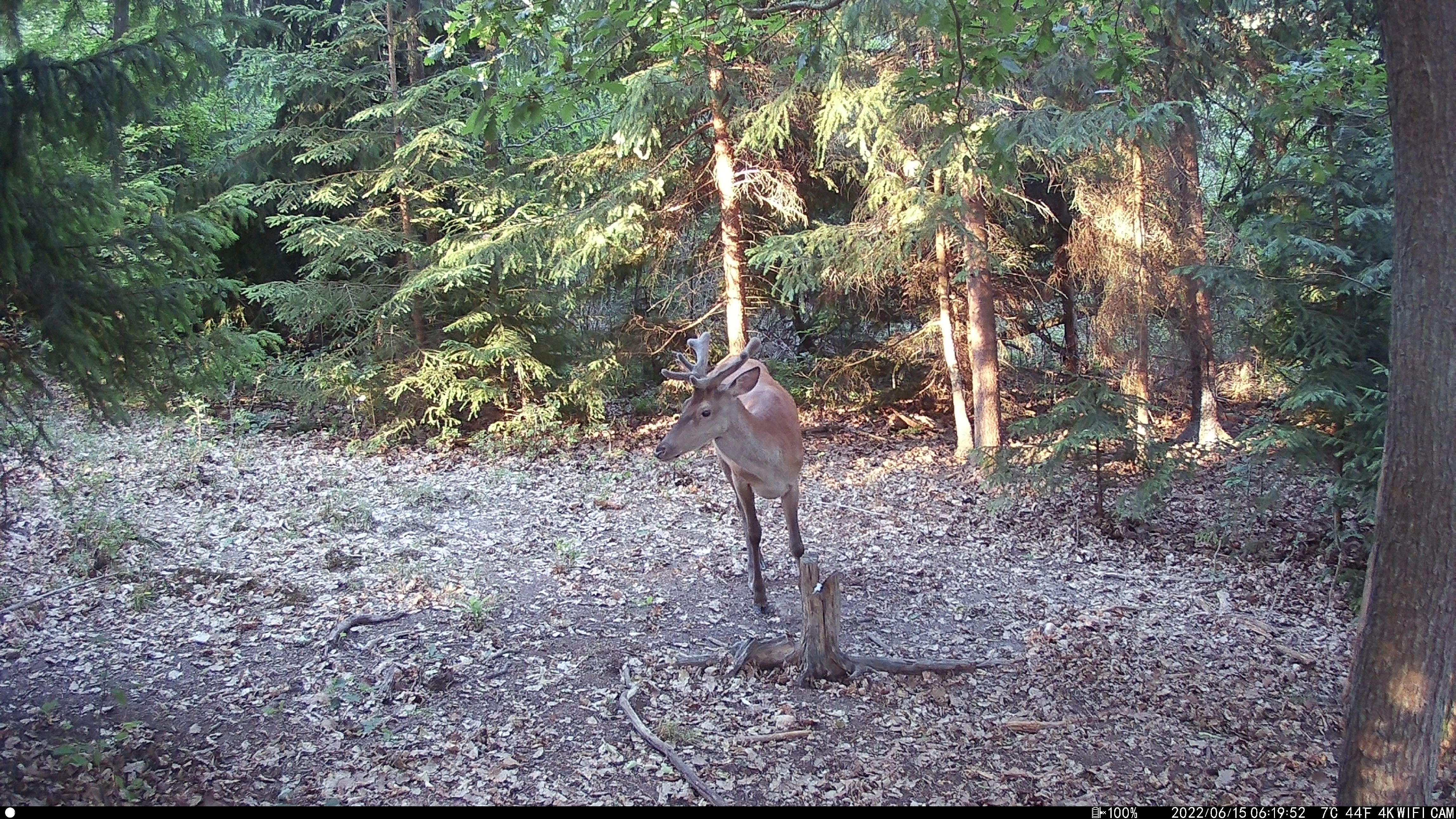 Wachman Aldo Day Photo